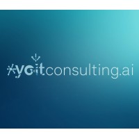  YO IT Consulting